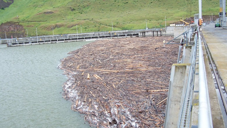 Little Goose Dam Debris